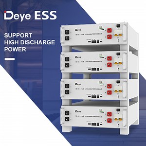 [Hot Item] Deye Ess Se-G5.1 PRO-B 100ah 51.2V Hot-Sale Products Solar LiFePO4 Lithium Ion Storage Battery Packs
