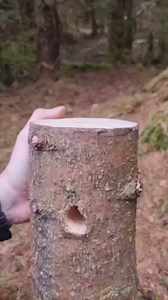 Hand Auger Wood Drill,Bushcraft Hand Auger Wrench Scotch Eye Wood Auger Bushcraft Auger Survival Settlers Wrench Tool Bushcraft Gear for Camping,Outdoor,Hiking,Woodworking (10mm)