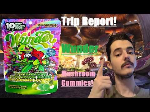 Trip Report! Wunder High Potency + THCP Mushroom Edibles Review