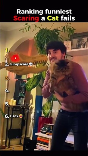 Ranking funniest Scaring a Cat fails😂