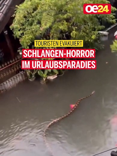 Sintflutartige Regenfälle haben auf Bali schwere Überschwemmungen ausgelöst. Besonders in Kuta, Legian, Seminyak, Sanur und Canggu standen Hotels und Villen teils hüfthoch unter Wasser. Einsatzkräfte retteten Bewohner und Urlauber mit Schlauchbooten, einige nutzten Surfbretter und Kajaks zur Flucht. In den überfluteten Straßen wurden sogar riesige Schlangen gesichtet, die vom Wasser mitgerissen wurden.⁠ ⁠ Entlang des Badung-Flusses heulten Sirenen, mehrere Erdrutsche und umgestürzte Bäume versch