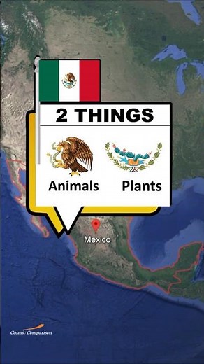 How Many Things In The Flag of Different Countries | Pt.1 #shorts