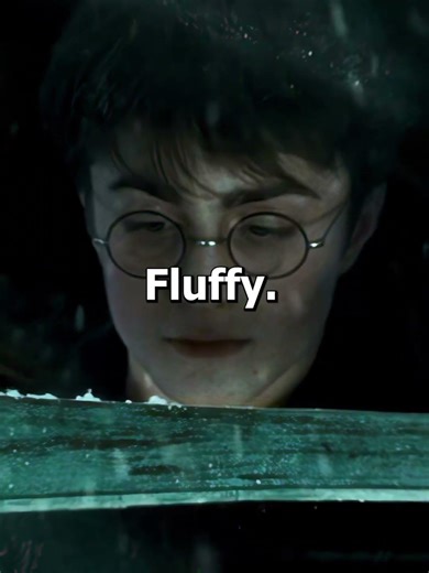 WAS Hagrid a DEATH EATER?! || #shorts #harrypotter #hagrid