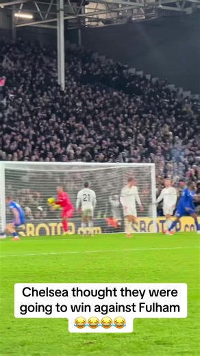 Chelsea vs Fulham Match Highlights and Fan Reactions