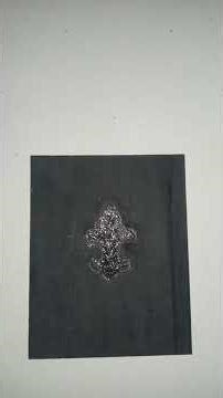 In Living Color ArtCover #Janice and Frenchie,'