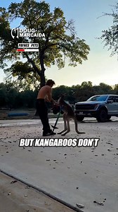 Looks like Kanga would rather kickbox! | Doug Marcaida