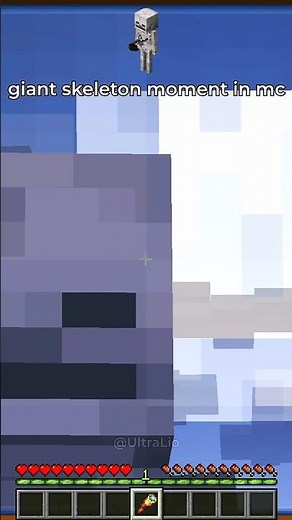 giant scary skeleton in minecraft 💀