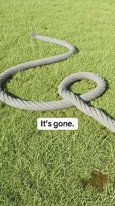 19K views · 38 reactions | Um, so, it’s gone. If you happen to see a giant inflatable Frosty flying around, please DM us on TikTok @WendysCanada #FrostyWatch | Wendy's | Facebook