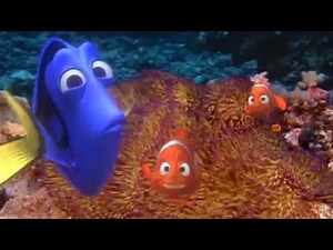 Exploring the Reef with Jean-Michel Cousteau (french)