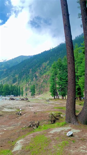 Exploring Heaven on Earth 🏔️🍃 | Nature Lover 🌿 Beauty of Kumrat Valley ✨ | Peace • Nature • Vibes 🌲 Mountains, Rivers & Natural Views 🏞️ Capturing Nature’s Real Beauty 📸🌿 Welcome to Natural Paradise 🍀 Pure Nature • Fresh Air • Peaceful Life 🌄 Nature is the Best Therapy 🌿✨ Discover the Beauty of Kumrat 🏔️❤️ Travel • Nature • Adventure 🌲 Bringing Nature Closer to You 🍃📍#majeedkumratvalley #foryou #foryoupage #kumrat_valley #1m