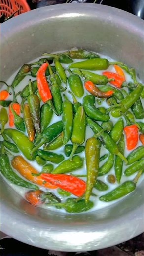 Mirchi ke achar ka wait 🌶😝...|| #shinkikandhal #minivlog #cooking #recipe #vlog #shorts