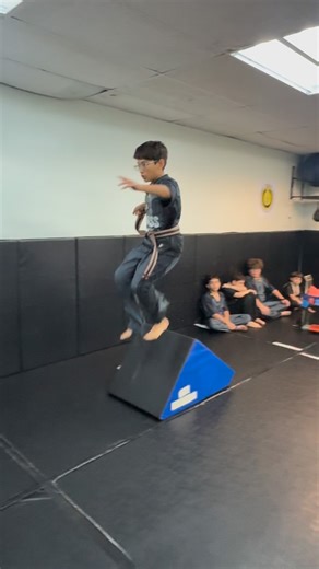 WKF on Instagram: "Martial Arts Fun Ninja Warrior Agility Course #martialarts"