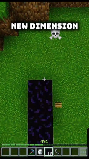 Minecraft Secret dimension...💀