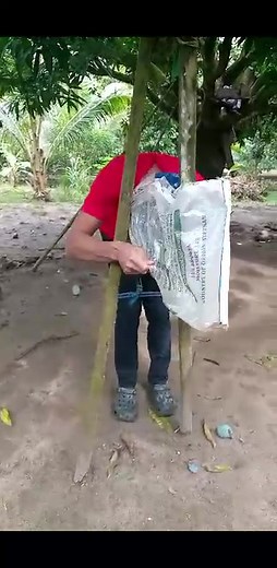 #bisayachallenge | Mag- uumang laagan