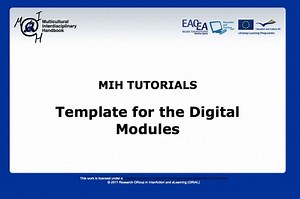 Template for the Digital Modules