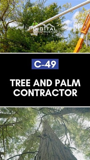 Jobs You Can Bid With a C-49 License! Tree Service Contractor License in California! Tree and Palm