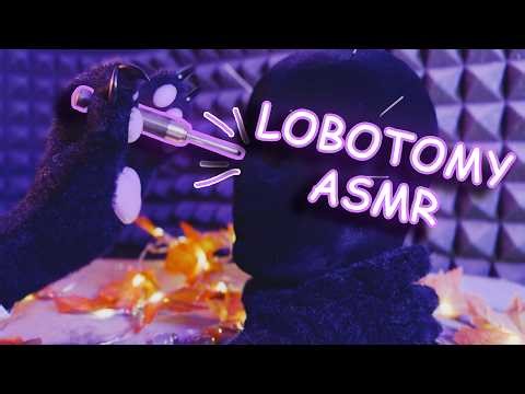 ASMR | Catboy Doctor Lobotomizes You