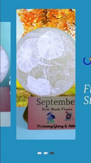 Birth month flowers are similar to birthstones—they symbolize personality traits, wishes, and mea...