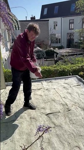Sedumdak zelf aanleggen instructie video #diy #garden #gardening