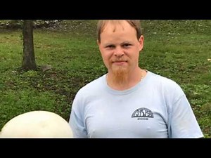 How to prepare a giant puff ball mushroom for cooking