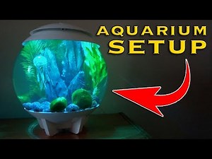 Setting up a BiOrb Aquarium