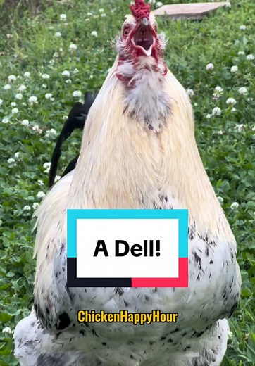 A Dell Computer That Sings Like Adele