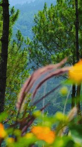 clip-3715700741-colorful-blurred-spring-nature-hills-vertical-footage