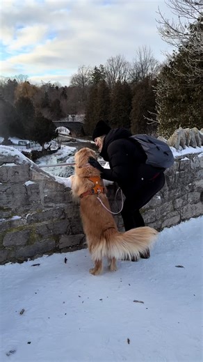 Beautiful winter waterfall hike ♥️❄️ Webster Falls, Spencer Gorge Concervation Area, Dundas ON #waterfall #waterfalls #winterhiking #winter #outdoors #happy #nature