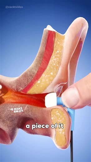 Exploring Opinions on Scientific Matters