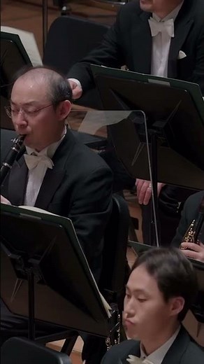 The Nutcracker suite Tchaikovsky #classicalmusic #orchestra #nice #beauty #tchaikovsky