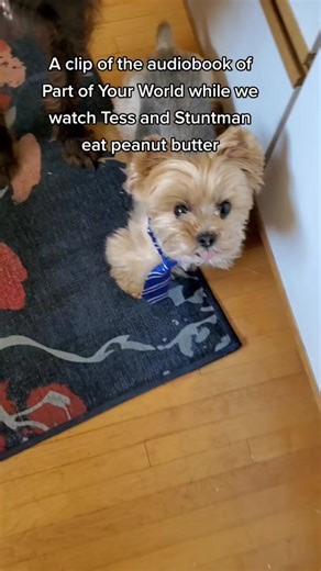 Award Winning Narrators Perform Part of Your World Audiobook