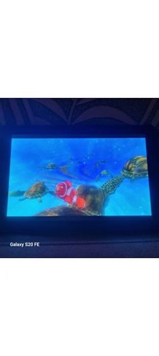 12 March 2026 finding nemo turtle scene