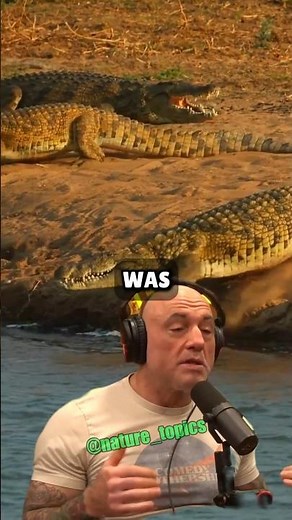 The Crocodiles That Hunted Humans