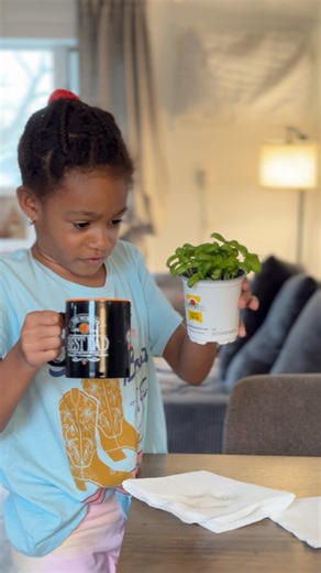 122K views · 2.1K reactions | A Life Less Scripted on Reels | Facebook