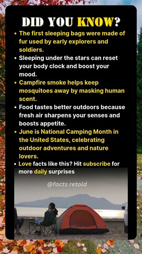 The Truth About Camping No One Ever Told You