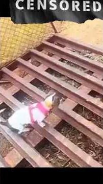 #foryou #sigmabrothers #sigmarule #sigma #video #youtubeshorts #sigmarulesigma