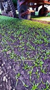 1.5K views | Is this the future of farming Carbon Robotics laser weeder showing off its features with a combination of AI and robotic technology with its use in farmingagriculture | WAY BACK HOME Reels | Facebook