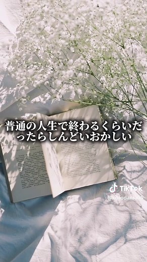 【朝倉未来】人生は一度きり#名言 #名言集 #格言 #モチベーション #心に響く言葉 #やる気 #朝倉未来 #朝倉未来チャンネル