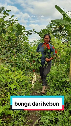 Bunga Hias dari Kebun di Rumah