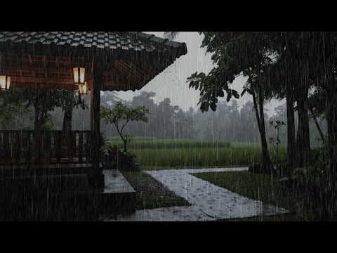 This Rain Hits Different 🌧️ Soft Moderate Tropical Rain Sounds for Deep Sleep (No Thunder)