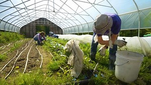Yesterday faculty and staff of Saint Michael's College came together for our annual Community Service Day. Employees volunteered for activities that ranged from cleanout and maintenance to playground painting, with many efforts helping organizations in our local community! | Saint Michael's College
