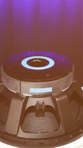 ATI PRO YJY2195H-4L 21-Inch 3500W DJ Speaker | 6-Inch 4-Layer Voice Coil | Dual Magnet Powerhouse