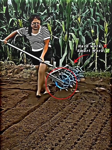 Smart Work vs Hard Work