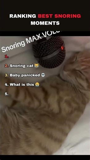 Ranking Best Snoring Moments #ranking #funny #snoring #viral
