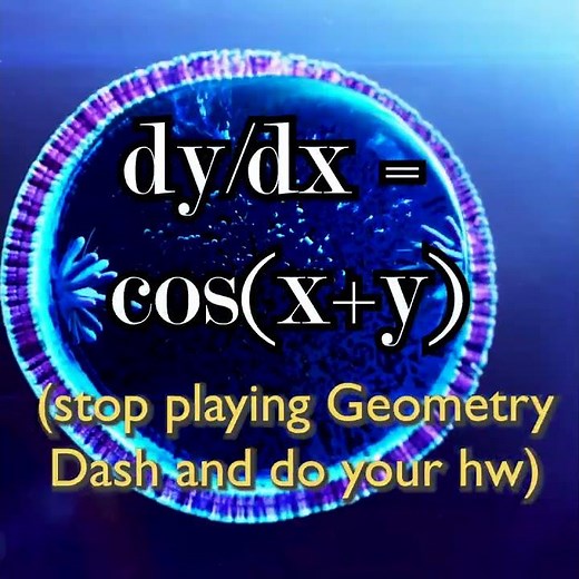 Mitosis Phases Animation Edit