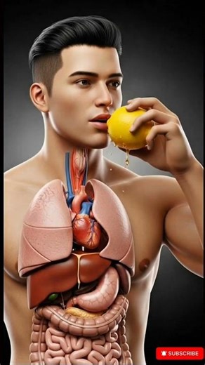 8K Ultra-Realistic 3D Medical Animation | Lemon Bite Inside Human Body 🍋🧠