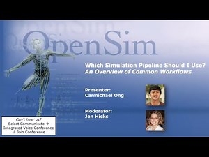 Webinar: Which simulation pipeline should I use? An overview of common workflows