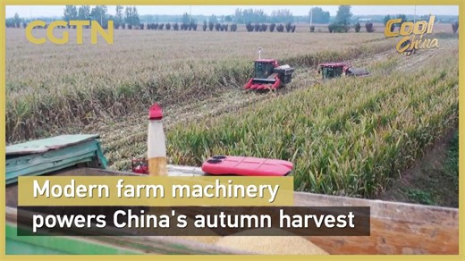 Modern farm machinery powers China's autumn harvest