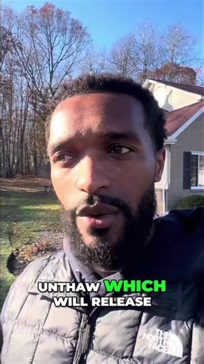 Should I Install Sod in Spring or Fall? #shorts