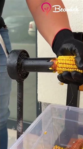 Epic corn sheller 🌽 #easy #corn #sheller #trick